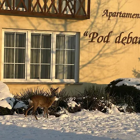 Apartamentykudowa - Pod Debami Z Ogrodem I Parkingiem, * Kudowa-Zdrój