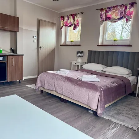 Apartamentykudowa - Pod Debami Z Ogrodem I Parkingiem, *