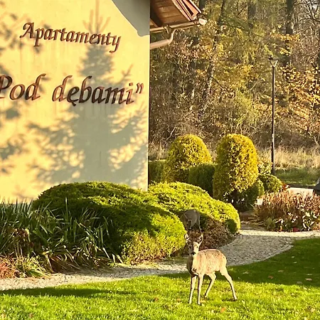 Apartament Pod Dębami Kudowa-Zdrój