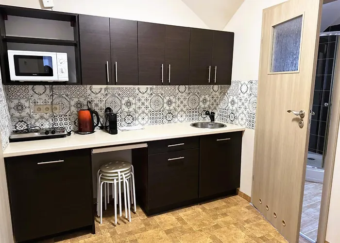 Διαμέρισμα Apartamentykudowa - Pod Debami Z Ogrodem I Parkingiem,