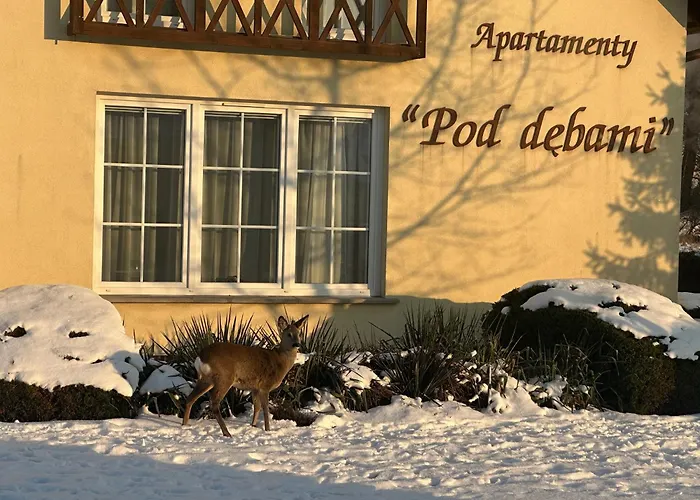 Apartamentykudowa - Pod Debami Z Ogrodem I Parkingiem, * Bad Kudowa