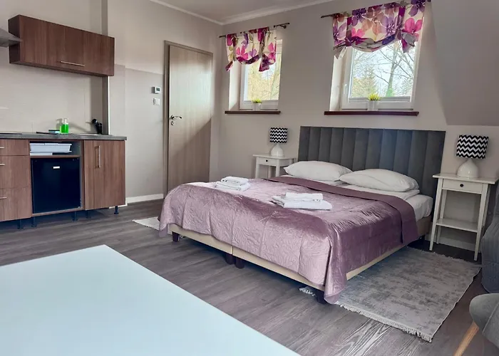 Apartamentykudowa - Pod Debami Z Ogrodem I Parkingiem, *