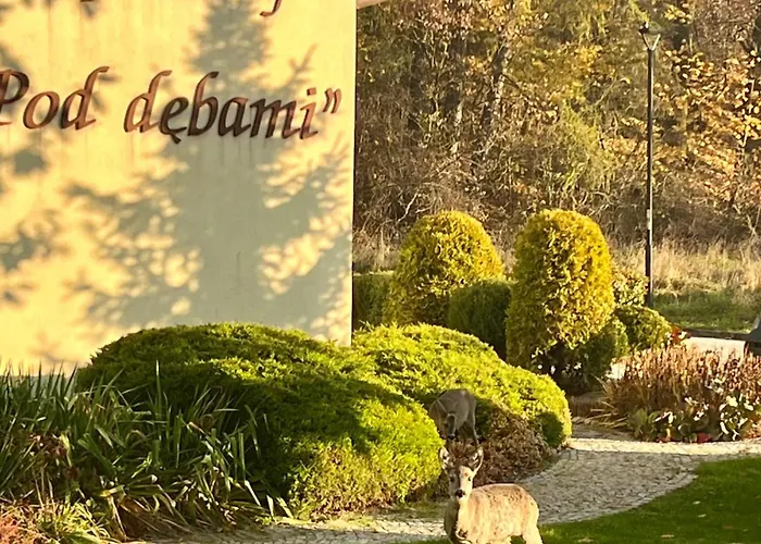 Διαμέρισμα Apartamentykudowa - Pod Debami Z Ogrodem I Parkingiem, Kudowa-Zdrój