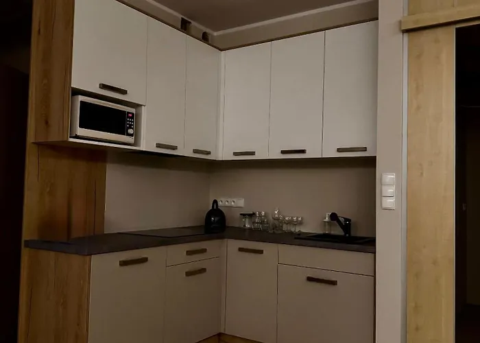 Apartamentykudowa - Pod Debami Z Ogrodem I Parkingiem, *